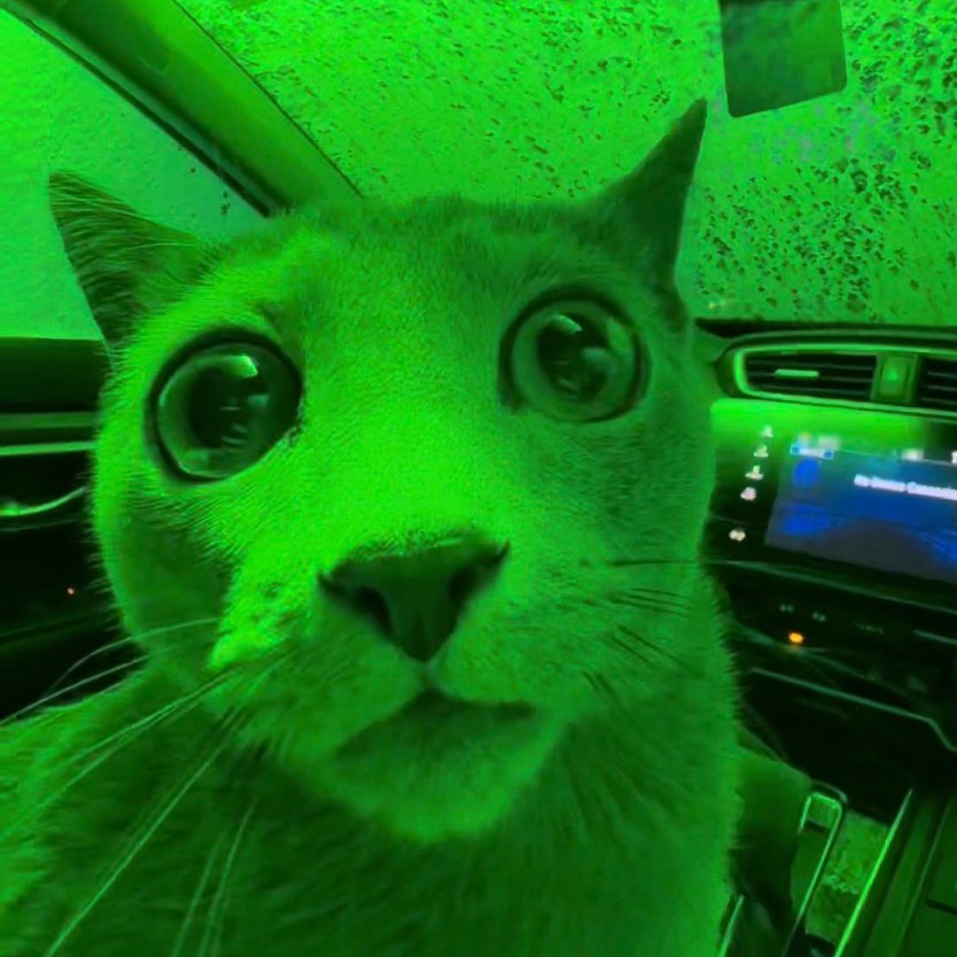 Green Cat Logo